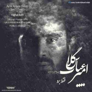دانلود آهنگ جدید امیر عباس گلاب فقط برو