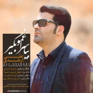 دانلود آهنگ جدید علی ارشدی بیا سراغمو بگیر