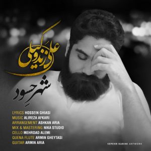 دانلود آهنگ جدید علی زند وکیلی شهر حسود