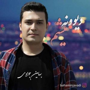 دانلود آهنگ جدید بهامین جوادی دیوونه میشم