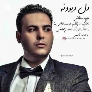 دانلود آهنگ جدید مجید سلطانی دل دیوونه