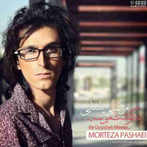دانلود آهنگ جدید مرتضی پاشایی به گوشت میرسه