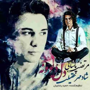 دانلود آهنگ جدید مرتضی پاشایی و شادمهر عقیلی دل دیوونه