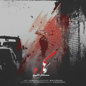 دانلود آهنگ جدید سلمان جلیلی رها کن