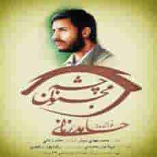 دانلود آهنگ جدید حامد زمانی چشم مجنون دانلود آهنگ جدید حامد زمانی چشم مجنون