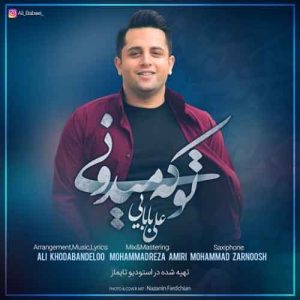 دانلود آهنگ جدیدعلی بابایی  تو که میدونی