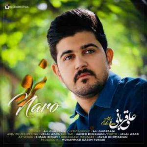 دانلود آهنگ جدید علی قربانی نرو
