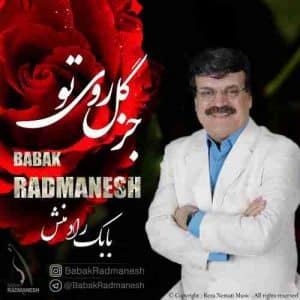 دانلود آهنگ جدید بابک رادمنش جز گل روی تو دانلود آهنگ جدید بابک رادمنش جز گل روی تو