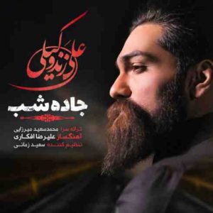 دانلود آهنگ جدید علی زند وکیلی جاده شب