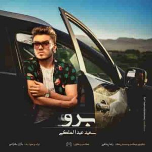دانلود آهنگ جدید سعید عبدالملکی برو
