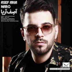 دانلود آهنگ جدید آصف آریا نرو دانلود آهنگ جدید آصف آریا نرو