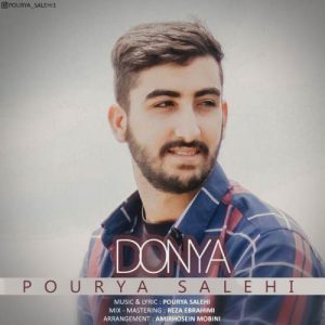 دانلود آهنگ جديد پوریا صالحی دنیا دانلود آهنگ جديد پوریا صالحی دنیا