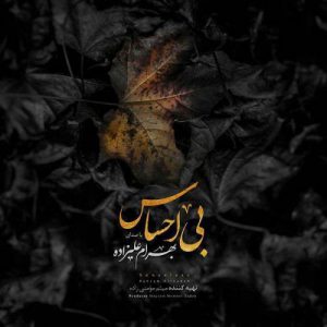 دانلود آهنگ جديد بهرام علیزاده بی احساس