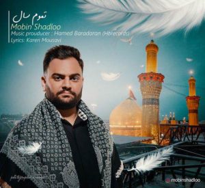 دانلود آهنگ جدید مبین شادلو تموم سال