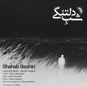دانلود آهنگ شهاب بشیری شب دلتنگی