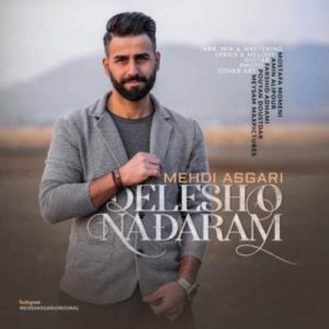 دانلود آهنگ مهدی عسگری دلشو ندارم