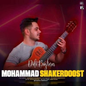 دانلود آهنگ محمد شاکردوست دل بی قرار دانلود آهنگ محمد شاکردوست دل بی قرار