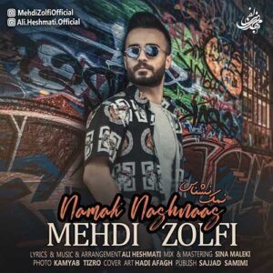 دانلود آهنگ مهدی زلفی نمک نشناس