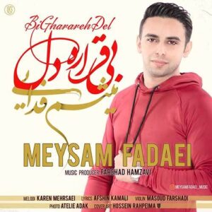 دانلود آهنگ میثم فدایی بی قراره دل