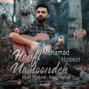 دانلود آهنگ محمدحسین نظری حرفی نمونده