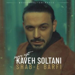 دانلود آهنگ کاوه سلطانی شب برفی