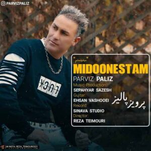 دانلود آهنگ جدید پرویز پالیز میدونستم دانلود آهنگ جدید پرویز پالیز میدونستم