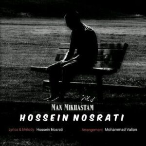 دانلود آهنگ حسین نصرتی من میخواستم