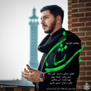 دانلود آهنگ جدید محمد داودنیا بی نشان