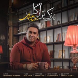دانلود آهنگ جدید رسول علیشاهی نازک تر از گل