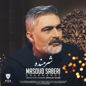 دانلود آهنگ جدید مسعود صابری شرمنده