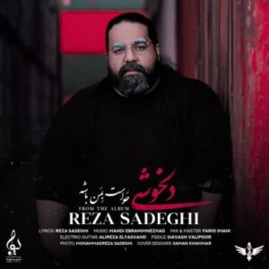 دانلود آهنگ جدید رضا صادقی دلخوشی