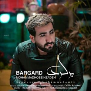 دانلود آهنگ محمد حسین زاده برگرد دانلود آهنگ محمد حسین زاده برگرد