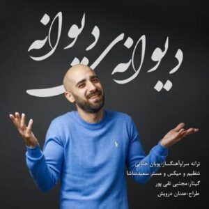 دانلود آهنگ جدید پویان جناتی دیوانه ی دیوانه