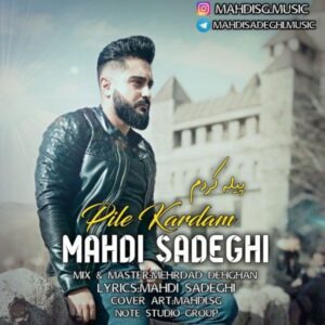 دانلود آهنگ مهدی صادقی پیله کردم