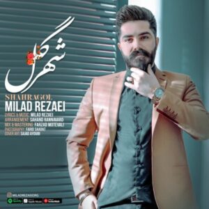 دانلود آهنگ جدید میلاد رضایی شهر گل دانلود آهنگ جدید میلاد رضایی شهر گل