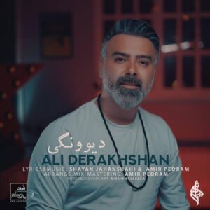 دانلود آهنگ جدید علی درخشان دیوونگی 