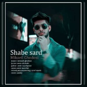 دانلود آهنگ جدید میکائیل قدوسی شب سرد