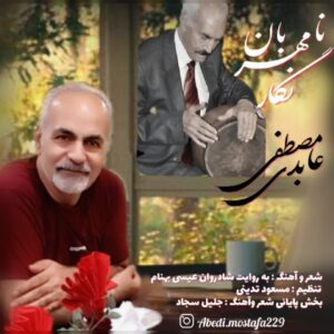 دانلود آهنگ جدید مصطفی عابدی نامهربان نگار