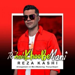 دانلود آهنگ جدید رضا کاشی تو حال خوب منی دانلود آهنگ جدید رضا کاشی تو حال خوب منی