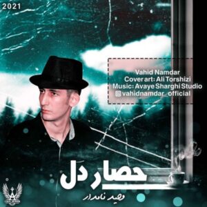 دانلود آهنگ جدید وحید نامدار حصار دل دانلود آهنگ جدید وحید نامدار حصار دل