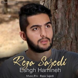 دانلود آهنگ جدید رضا ساجدی عشق همینه