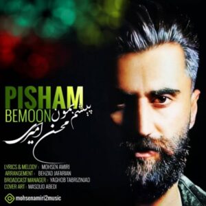 دانلود آهنگ جدید محسن امیری پیشم بمون