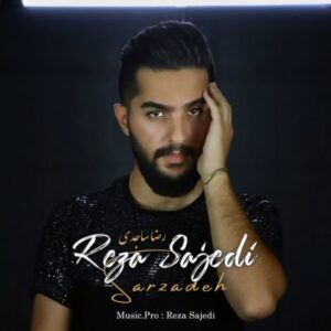دانلود آهنگ جدید رضا ساجدی سرزده