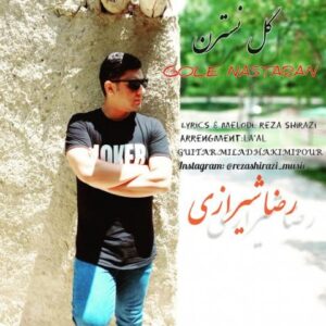 دانلود آهنگ جدید رضا شیرازی گل نسترن