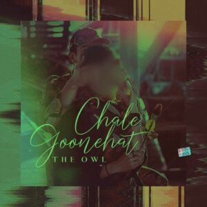 دانلود آهنگ جدید The Owl چال گونه هات دانلود آهنگ جدید The Owl چال گونه هات
