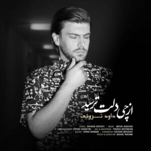 دانلود آهنگ جدید داود ثروتی از چی دلت ترسید
