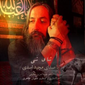 دانلود آهنگ جدید مجید اسدی نای نی دانلود آهنگ جدید مجید اسدی نای نی