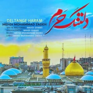 دانلود آهنگ جدید مهدی محمدزاده دلتنگ حرم دانلود آهنگ جدید مهدی محمدزاده دلتنگ حرم