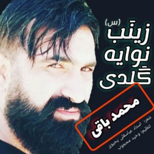 دانلود آهنگ جدید محمد باقی زینب نوای گلدی