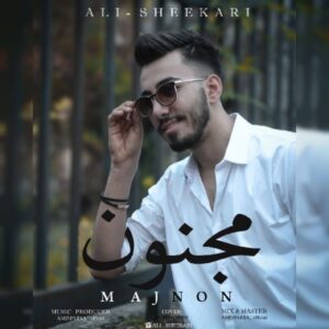 دانلود آهنگ جدید علی شکاری مجنون دانلود آهنگ جدید علی شکاری مجنون